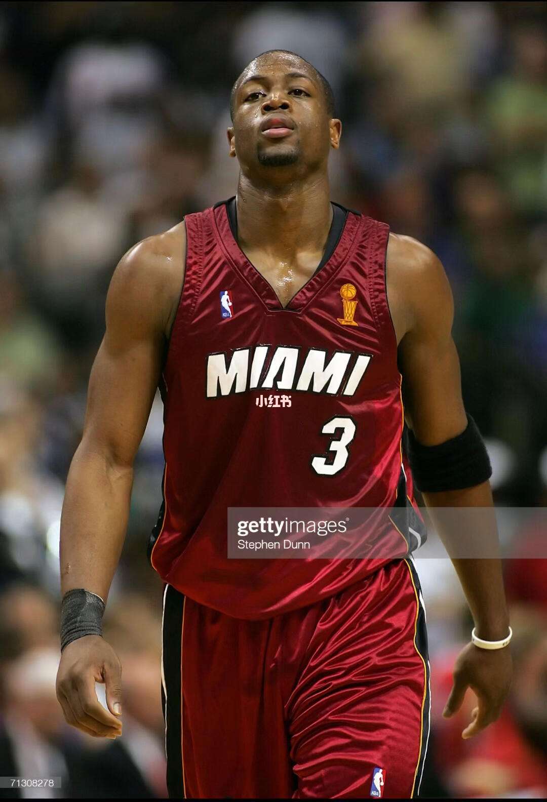 以近年成功 以近年成功