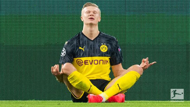 赋与训练 赋与训练